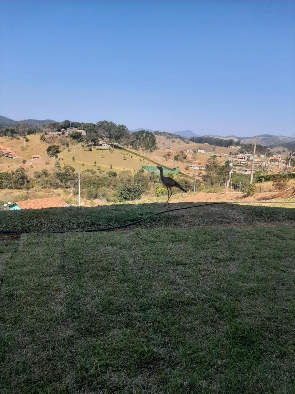 Recanto Alvorada - Casa De Campo Santo Antonio do Pinhal Bagian luar foto